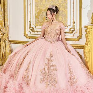 New Blush Long Quinceanera Dress w/ Floral Applqiue & Ruffled Hem DQ 5070